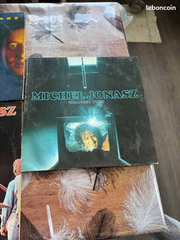 Vinyle 33 tours (image 4)
