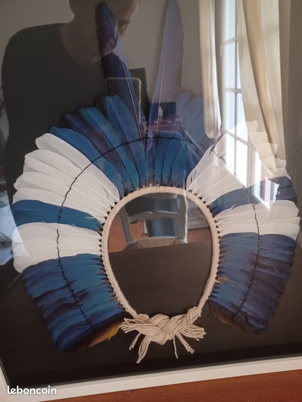 Coiffe amerindienne (image 2)