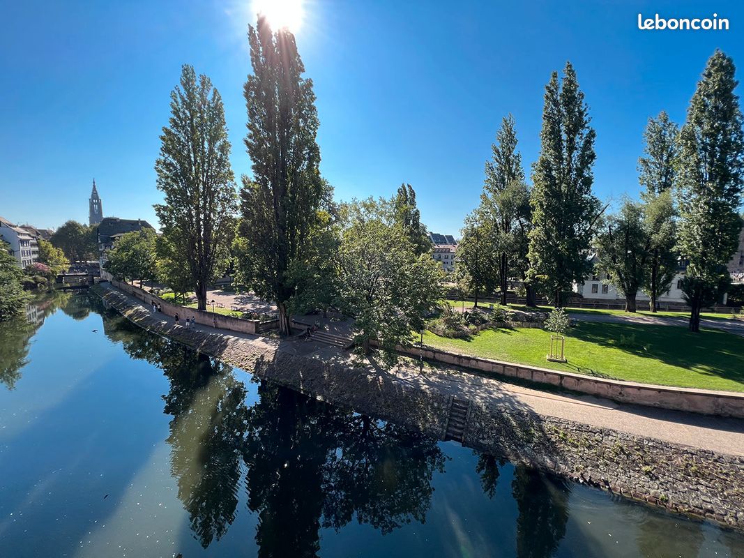 Appartement 2 pièces 41 m² · à Strasbourg · 41 m² · 252 000 €