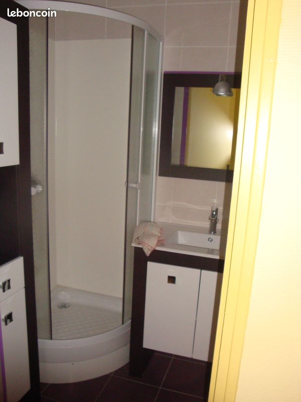 Agréable studio T1 meublé quartier Montjovis Beaublanc - Limoges 87100 Aurence-Cognac Cité U. Beaublanc (image 3)