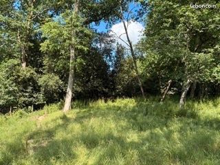 Terrain 700 m² · à Cenon · 140 000 €