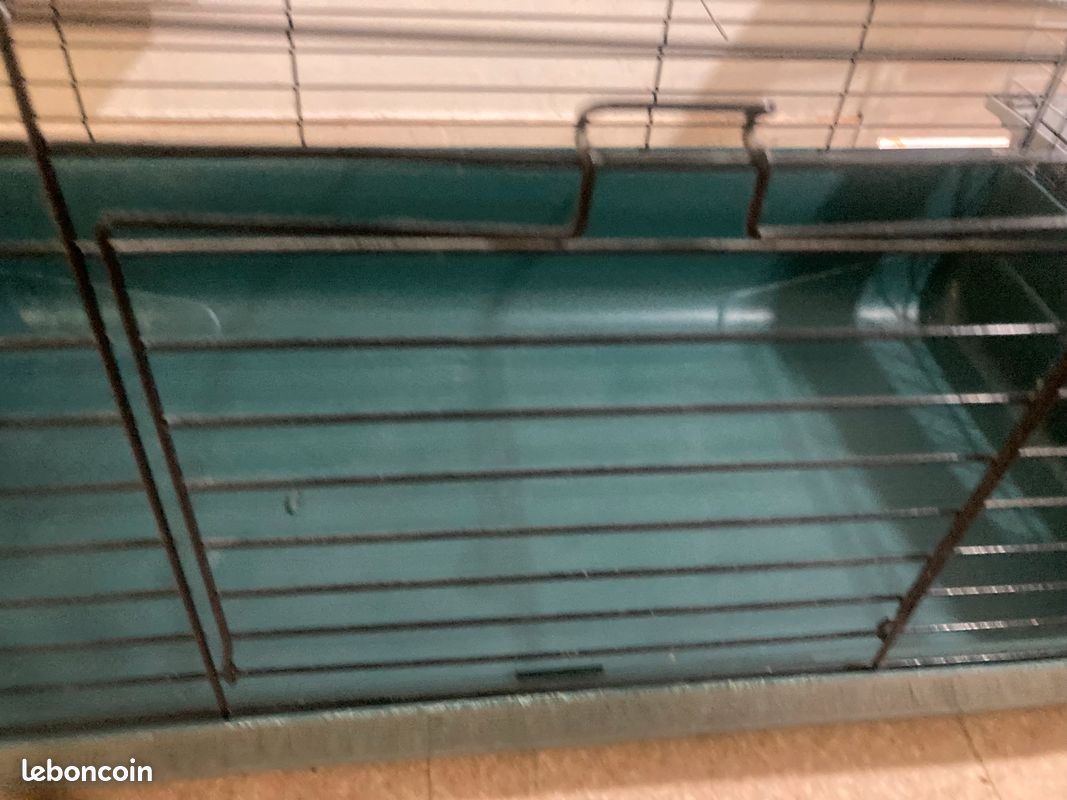 Cage cochon d’Inde (image 2)