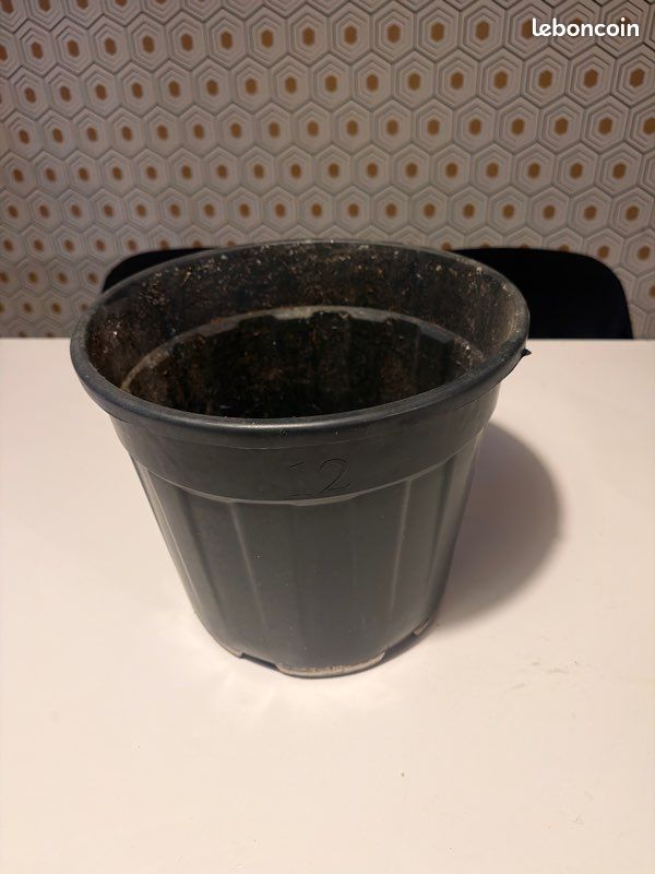 Pot plante (image 1)