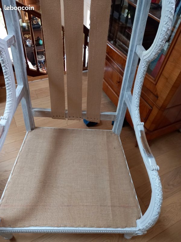 Bergère à oreilles (image 1)