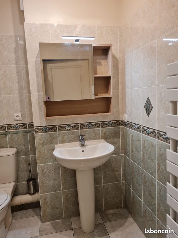Studio 1 pièce 29 m² - Brive-la-Gaillarde 19100 (image principale 8)
