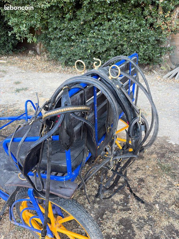 Calèche 2 roues (image 6)