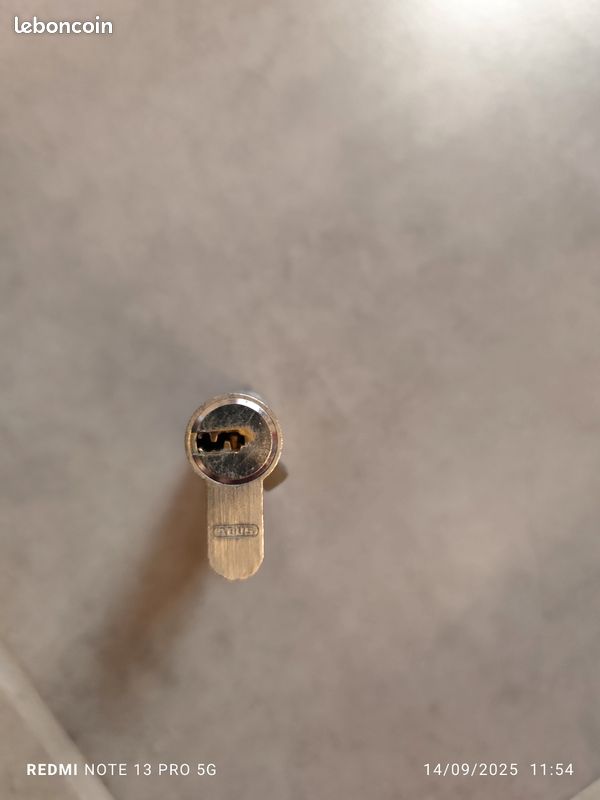 Cylindre de porte ABUS (image 3)