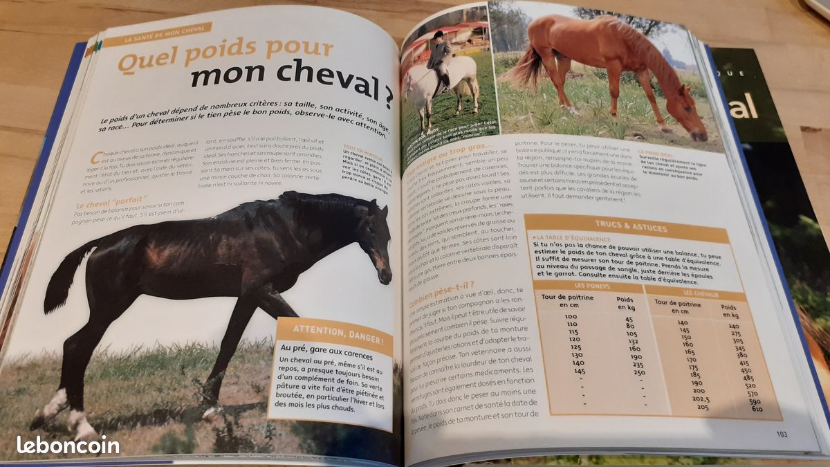 Coffret 2 livres Mon cheval (image 5)