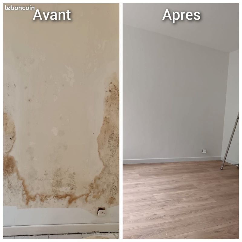 Peintre enduiseur plaquiste posé de parquet (image 5)