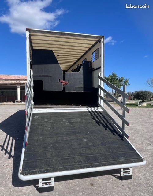 Camion Chevaux Premium 11 places (image 3)