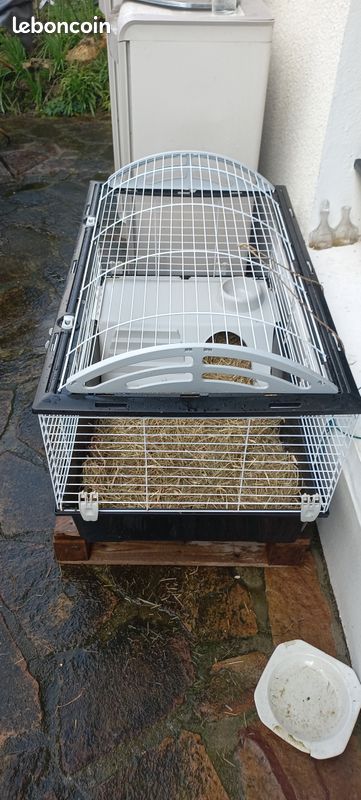 Cage (image 2)