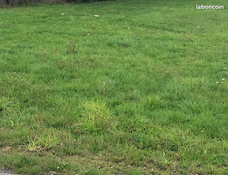 Terrain 449 m² Le Bignon · 99 000 €
