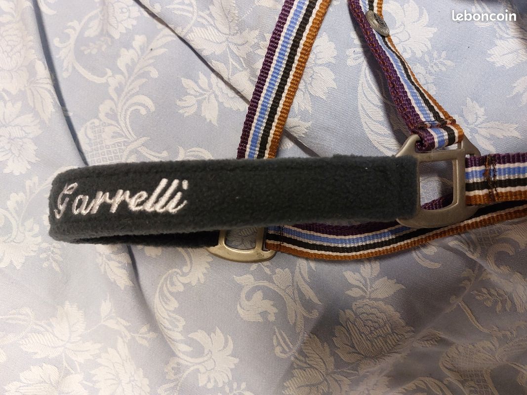 Licol Laura Garrelli + longe Full (image 4)