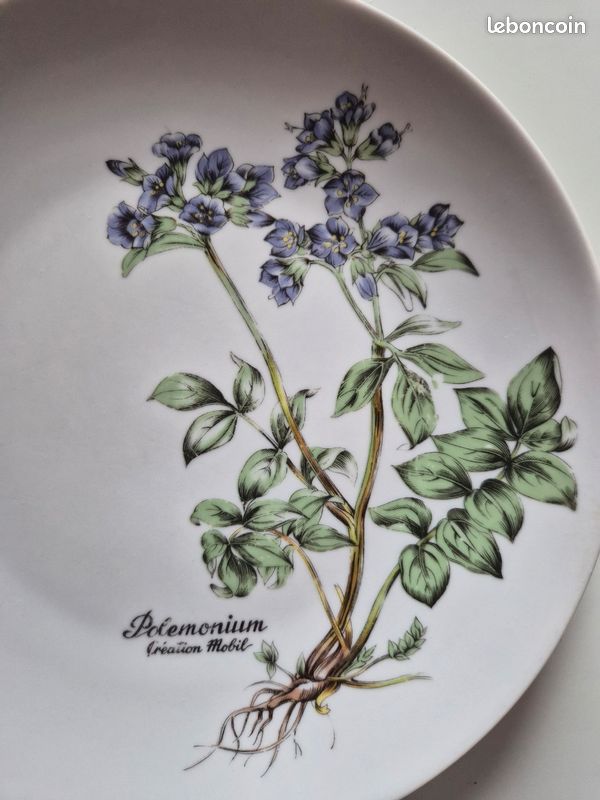 1 Assiette porcelaine fine mobil polemonium (image 2)
