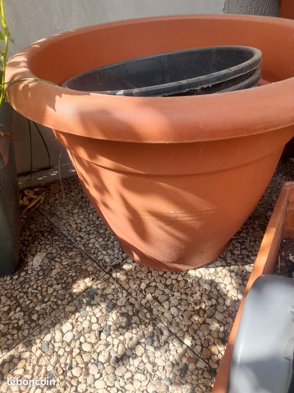Pot de fleur (image 2)