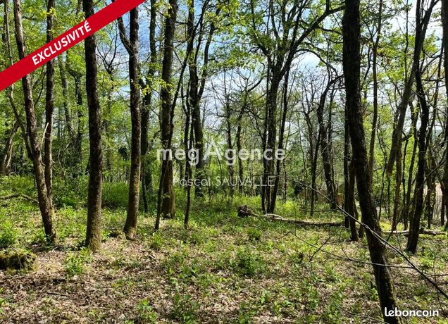 Terrain 4560 m² CHANCELADE