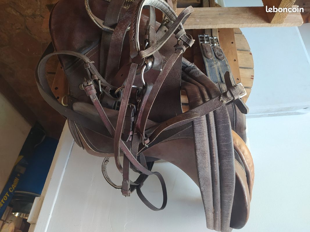 Selle de cheval 17" (image 1)