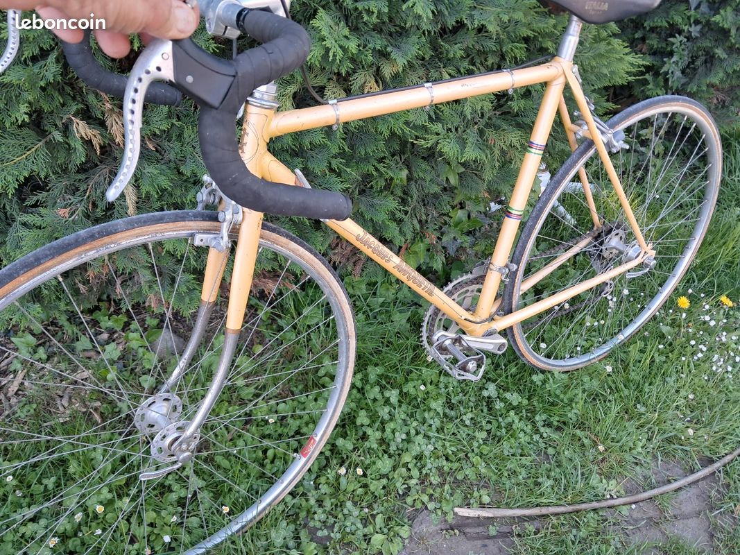 Jacques Anquetil Leboncoin VÃ©lo De Course Velo Marque Gazelle