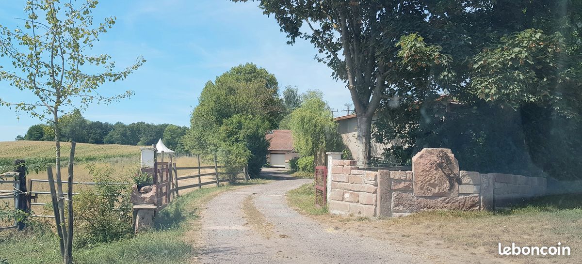 Au fil des champs... (image 1)