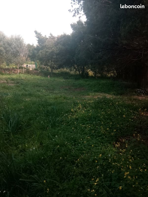 Terrain a vendre · à Tomino · 150 000 €