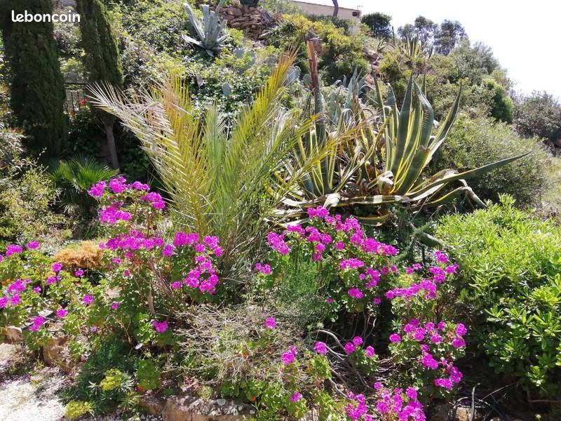 Location appartement de vacances avec jardin- 4 personnes - Le Lavandou (83) (image 18)