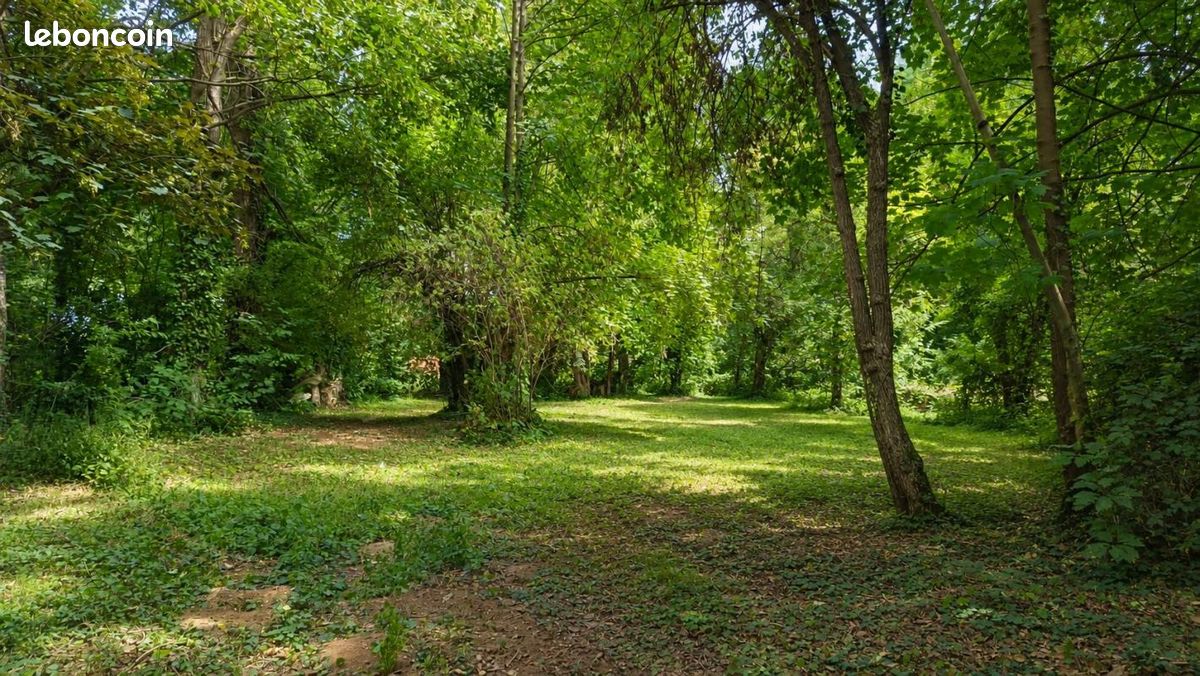 Terrain 4 050 m² Handschuheim · 525 000 €