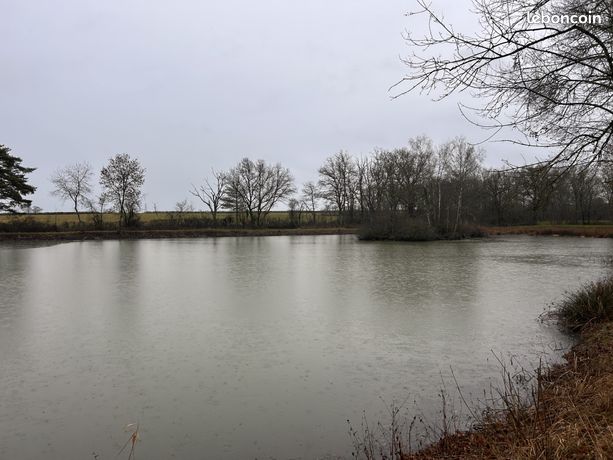 Terrain 9560 m² Mosnay