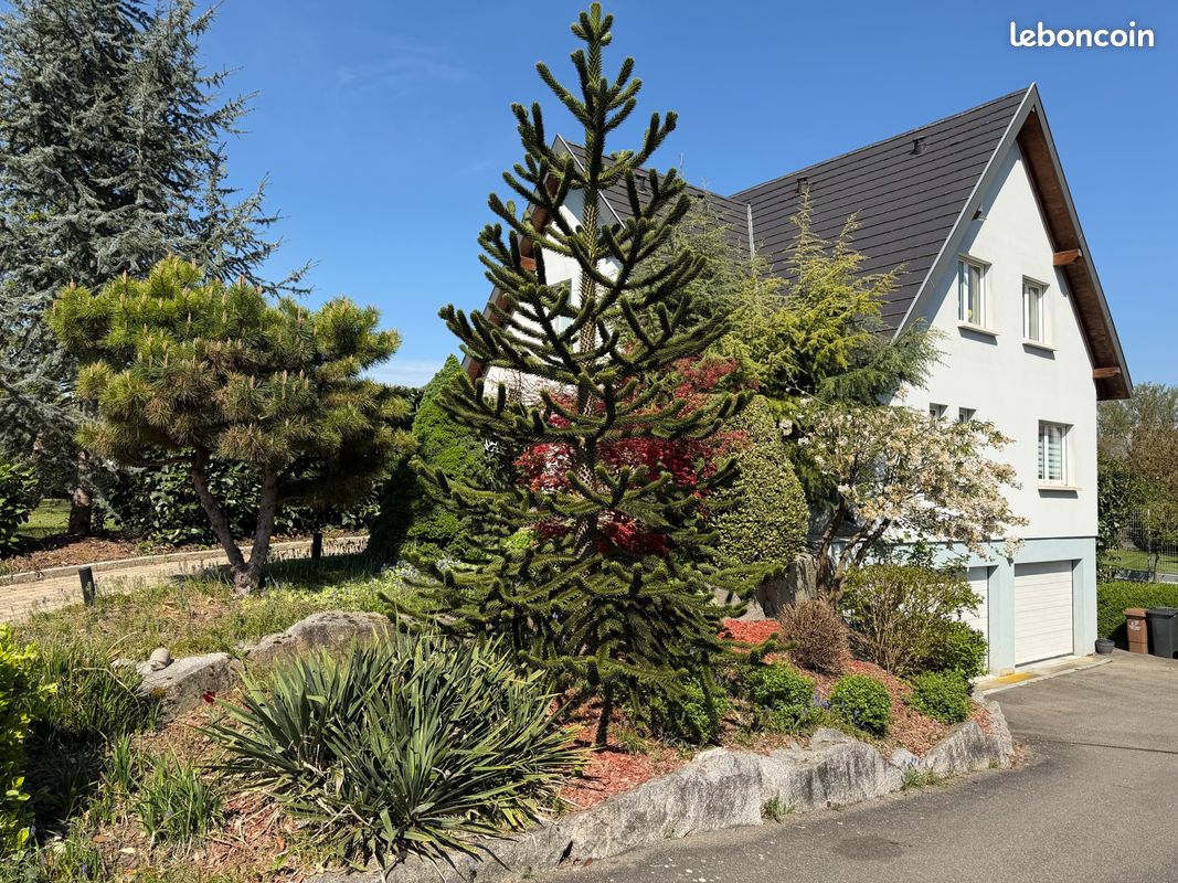 Maison 8 pièces 178 m² · à Walheim · 178 m² · 668 000 €