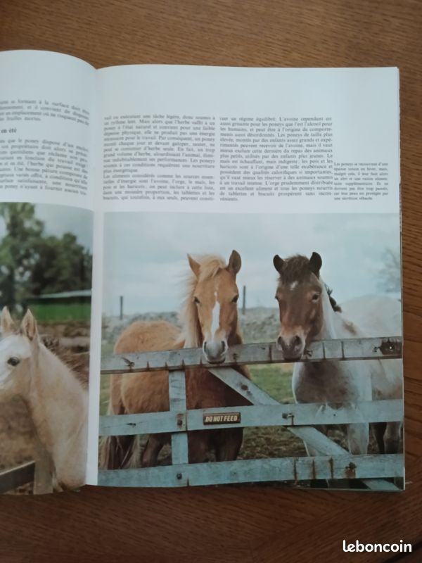 Livre sur les chevaux (image 4)
