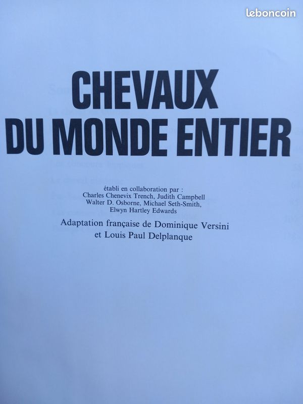 Chevaux du monde entier (image 2)