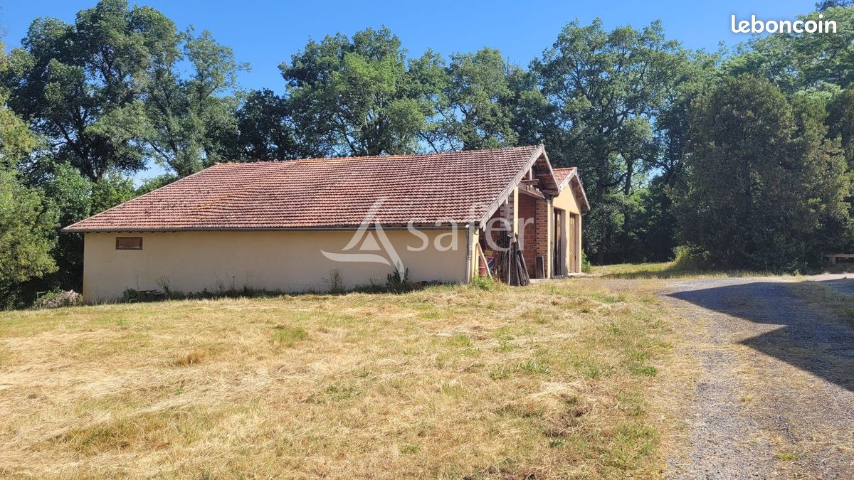 Propriété 290 m² Castres (image 10)