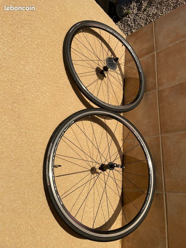 Roue arrière de vélo rigida nova - Vélos