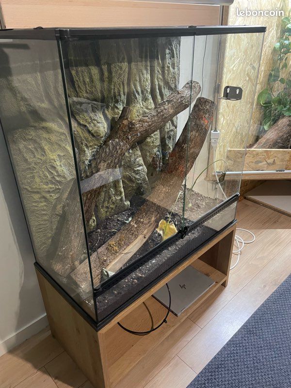 Terrarium (image 1)