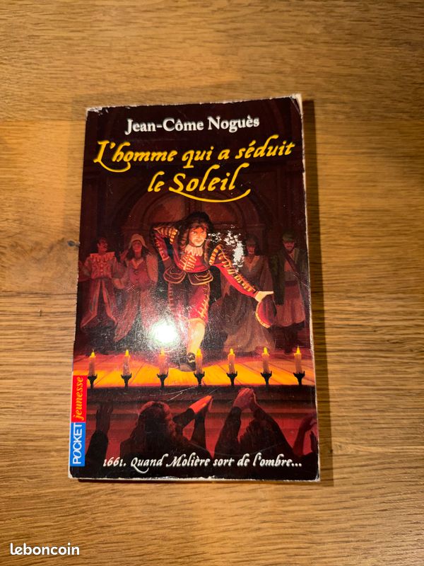 L’homme qui a séduit le Soleil – Jean‑Côme Noguès – roman historique jeunesse collège (image 1)