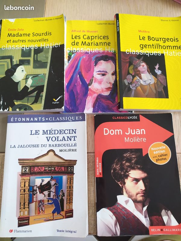 Livre littérature française (image 2)