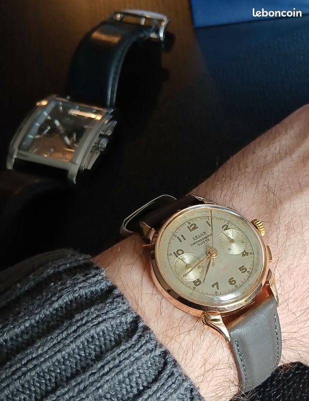 Montre zelus rubis suisse révision ok (image 1)
