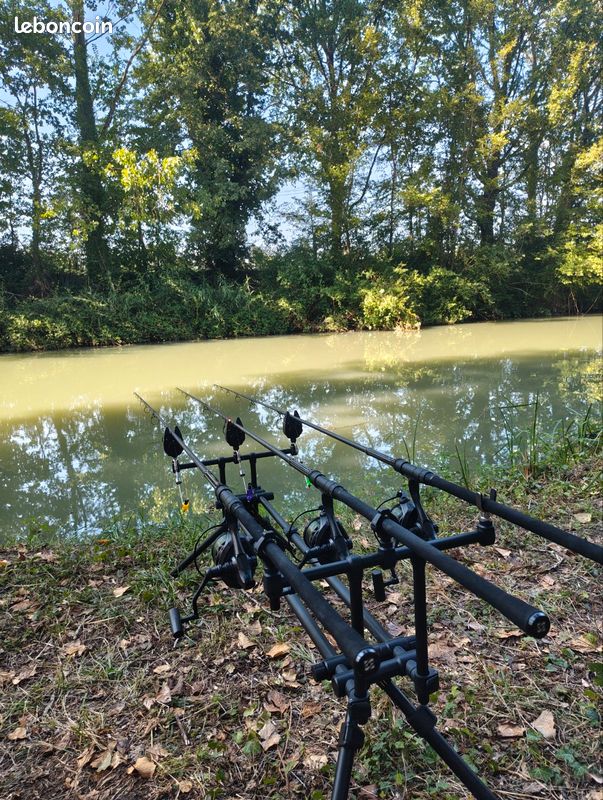 Ensemble peche carpe 10 pieds Sonik (image 2)