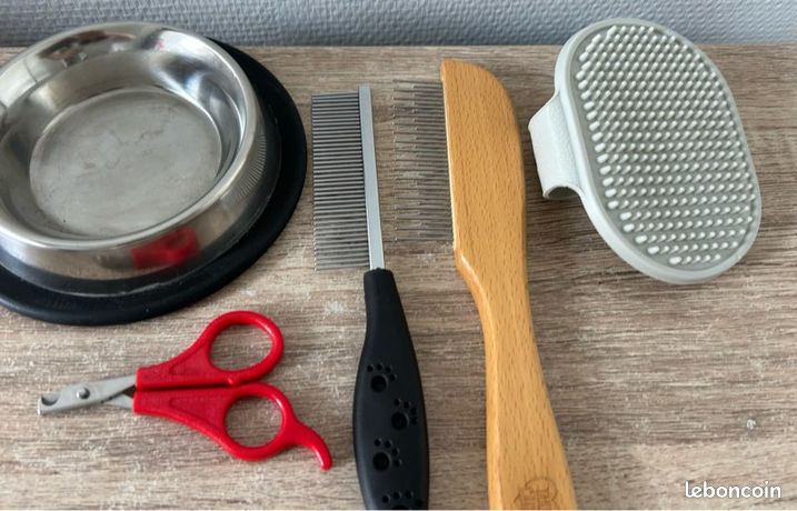 Lampe MARES EOS25 LASER Argent MARES