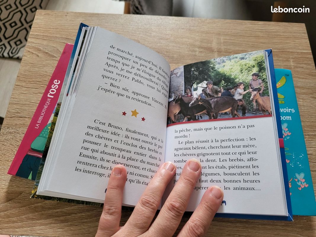 3 livres jeunesse (image 5)
