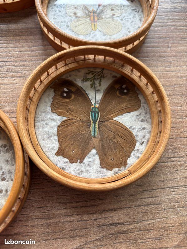 Grand Cerceau à Broder Vintage En Bois Ovale 27x17 Pouces - Réglable Par Vis