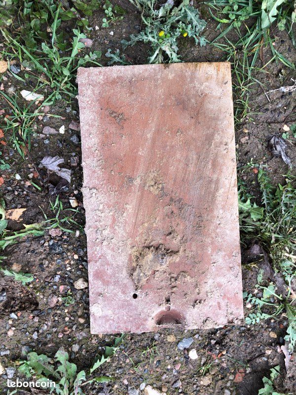 Tuile (image 2)