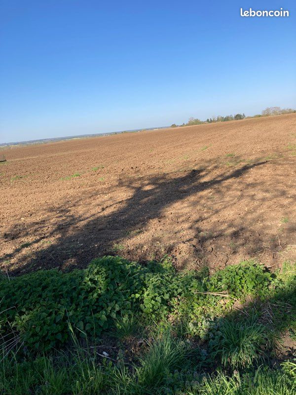 Terrain constructible · à Bonny-sur-Loire · 30 000 €