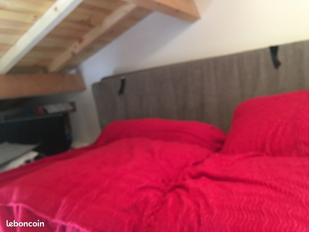 Gîte 2 à 4 personnes entre Albi et Gaillac (image 6)