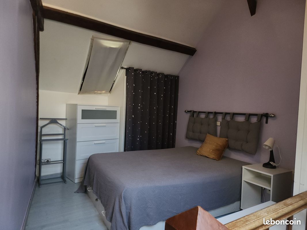 Duplex entre paris et disneyland (image 1)