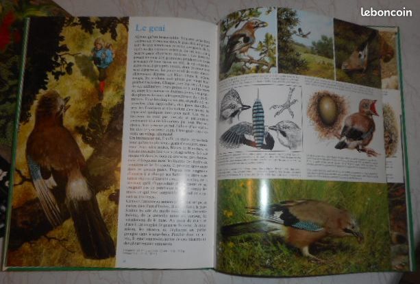 Livre-La vie secrète des bêtes (image 3)