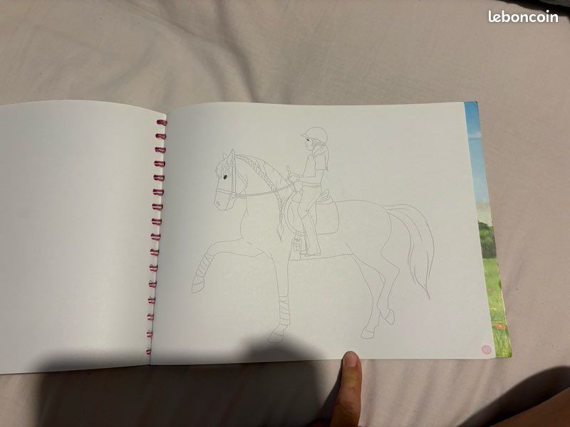 Livre de coloriage sur les chevaux (image 2)