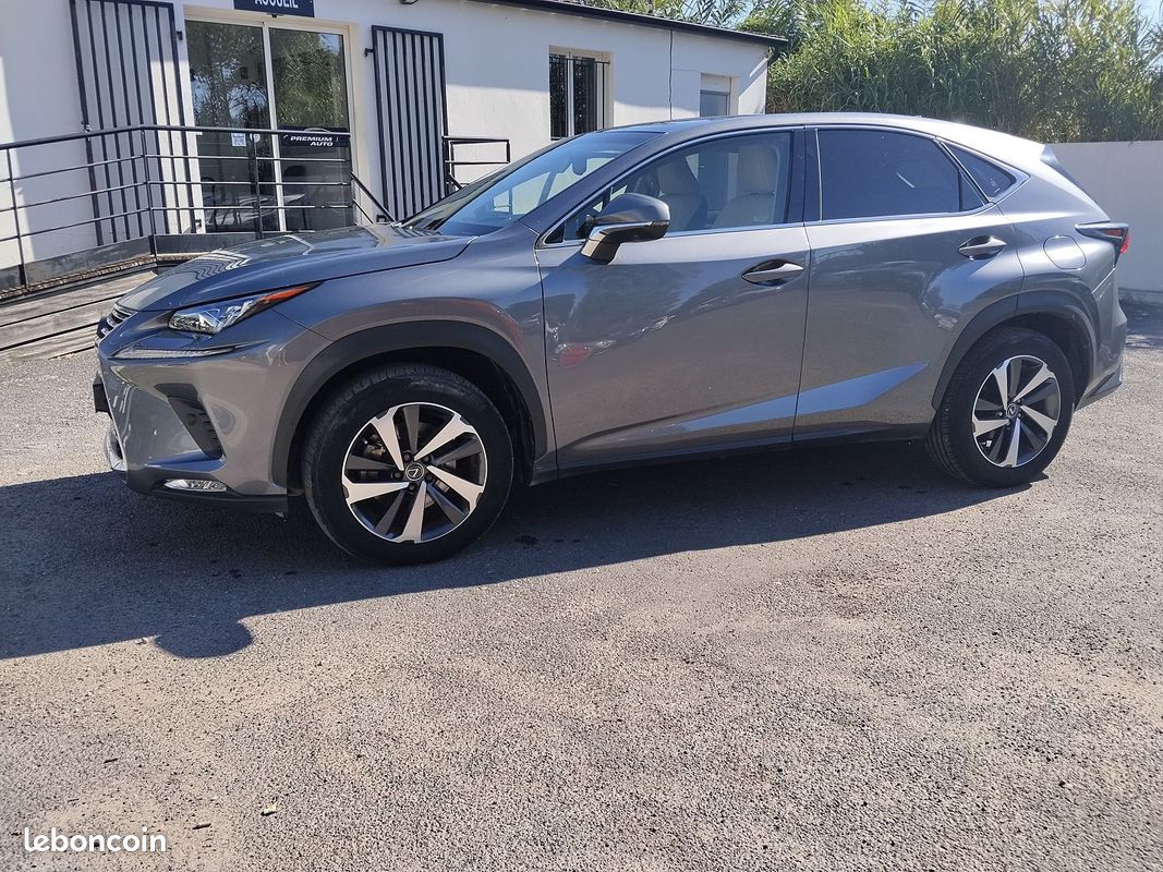 Lexus NX 300H 4WD LUXE (image 1)