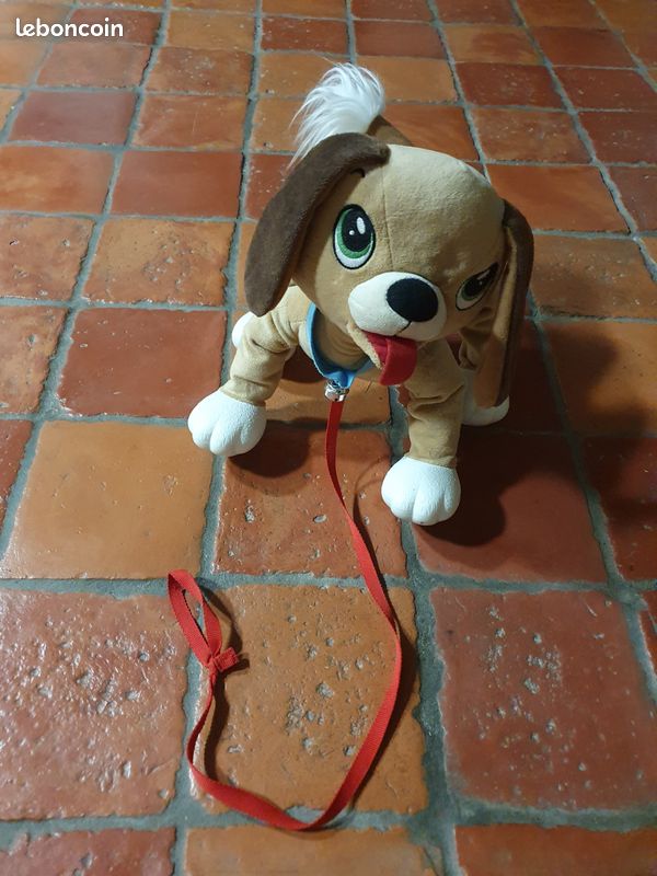 Chien Toufou (image 1)