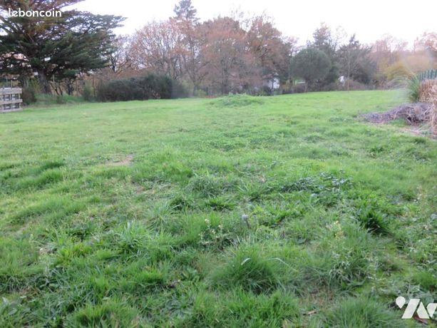 Terrain 984 m² LA LIMOUZINIERE