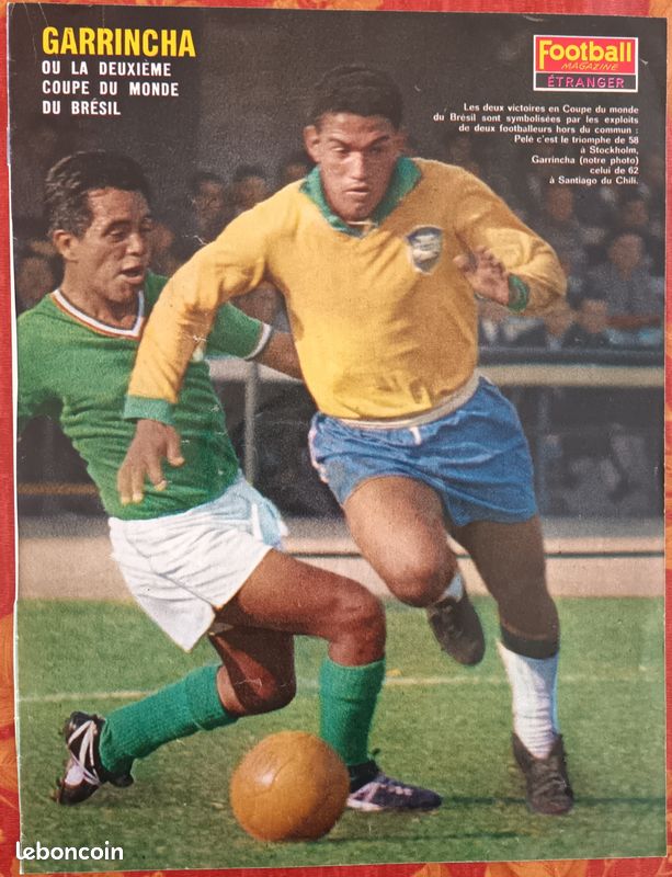 Conception D'un Petit Salon-chambre à Coucher (40 Photos): Salle